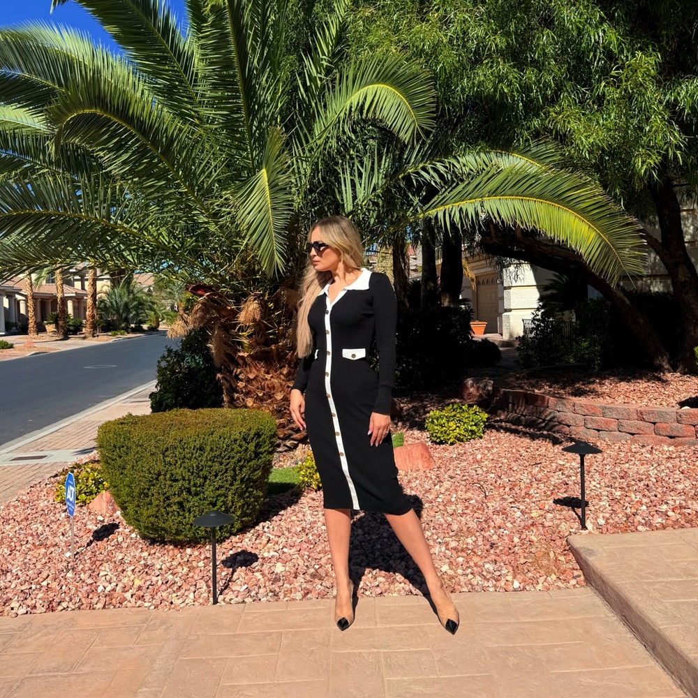227 ‘Alex’ Elegant Black and White Button-Down Dress - Picture 8 of 9